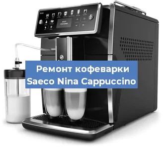 Чистка кофемашины Saeco Nina Cappuccino от кофейных масел в Волгограде
